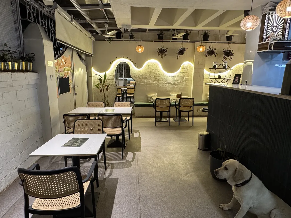 A dog beside the counter in the pet-friendly Cafe Orelo dining room